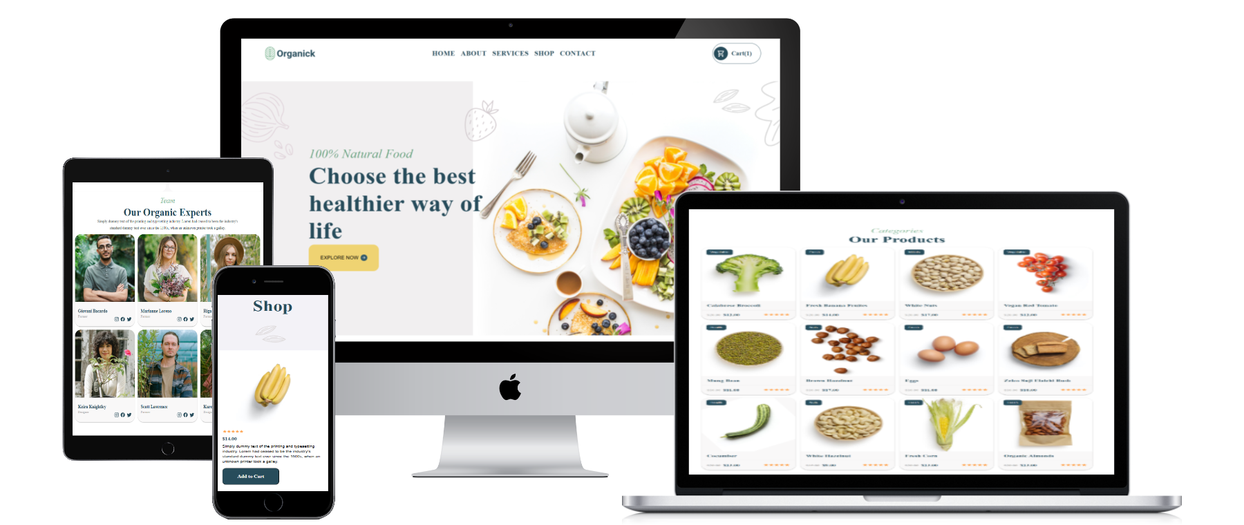 Web Design
